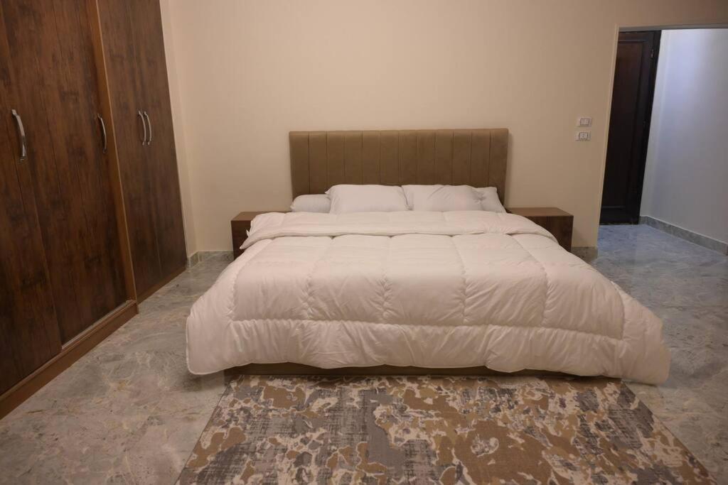 Eg-e-302 3br In Nasr Apartment *